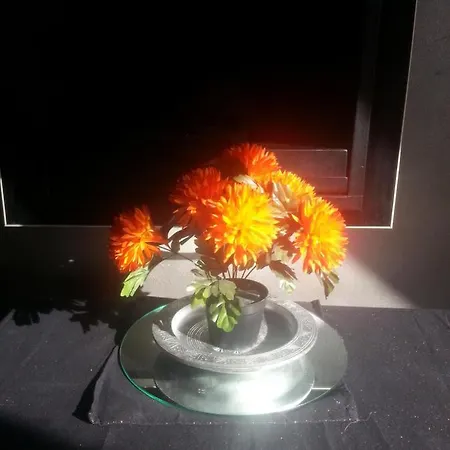 Apartment No 10, B&b, Etage 2e Verd, Max 3 Pers Nimwegen