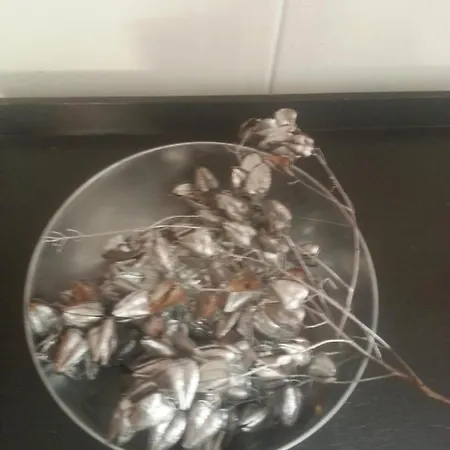 No 10, B&b, Etage 2e Verd, Max 3 Pers Nijmegen