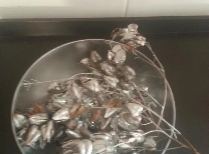 No 10, B&b, Etage 2e Verd, Max 3 Pers Nijmegen