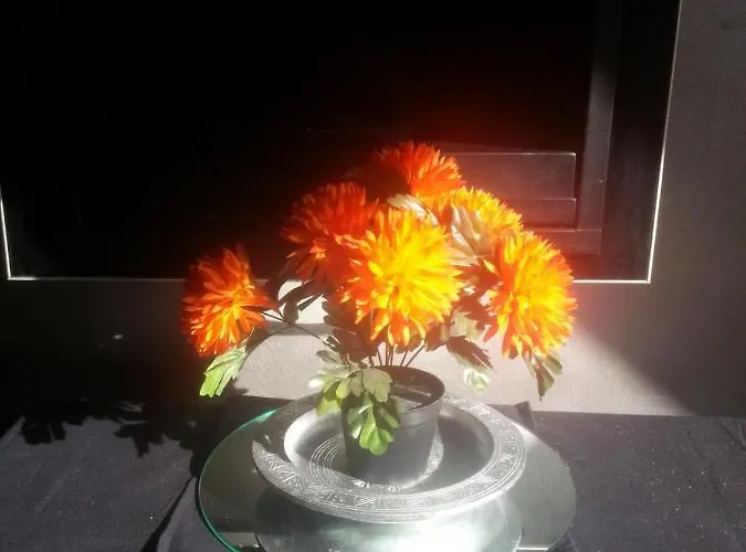 Lägenhet No 10, B&b, Etage 2e Verd, Max 3 Pers Nijmegen